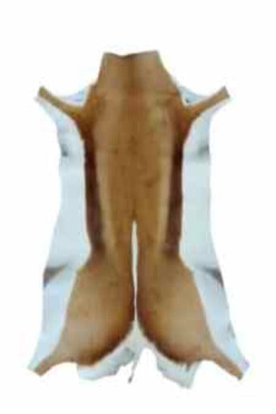 Springbok Natural Skin Rug Grade A