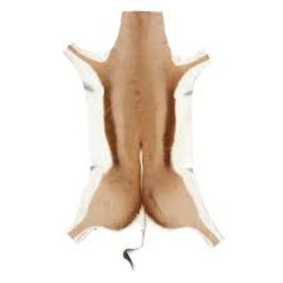 Springbok Natural Skin Rug Grade A