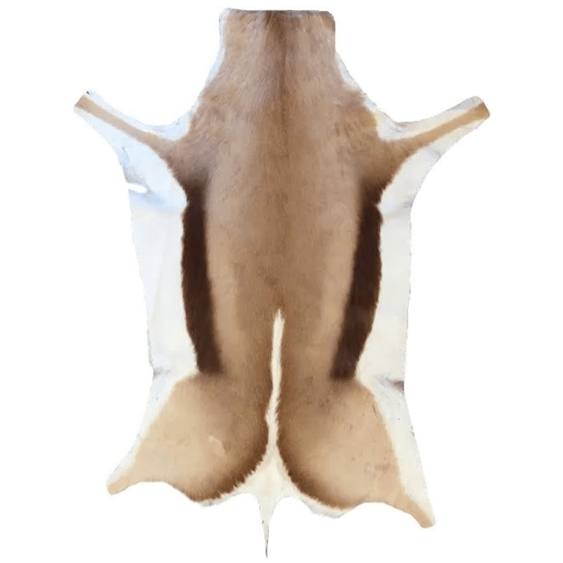 Springbok Natural Skin Rug Grade A