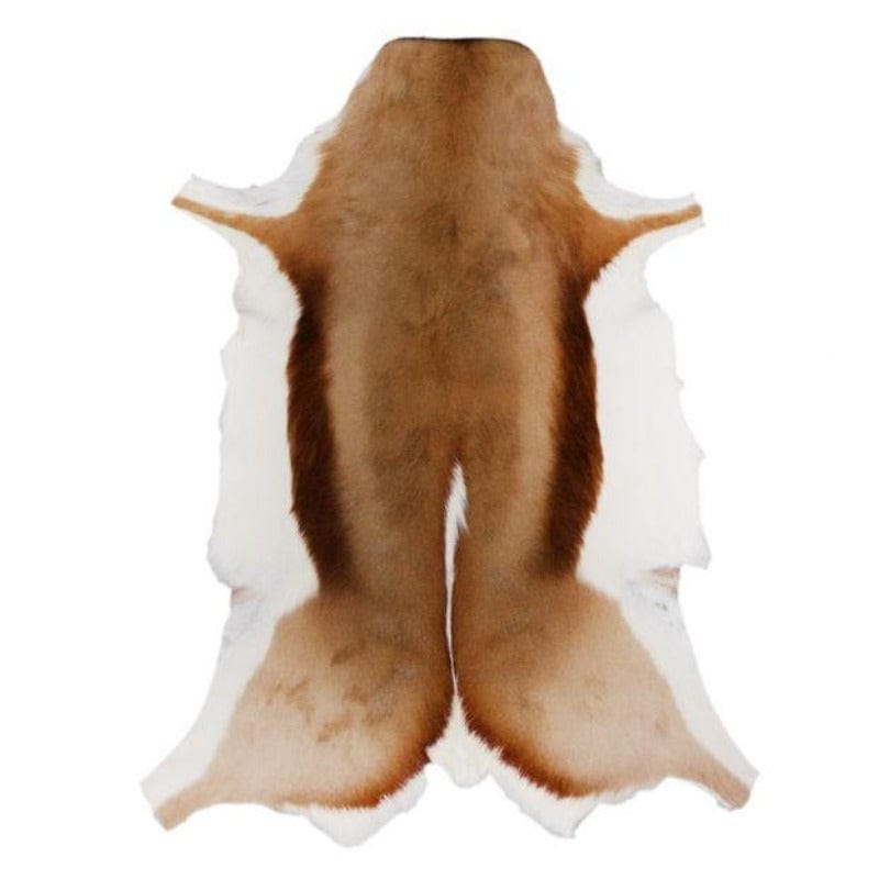 Springbok Natural Skin Rug Grade A